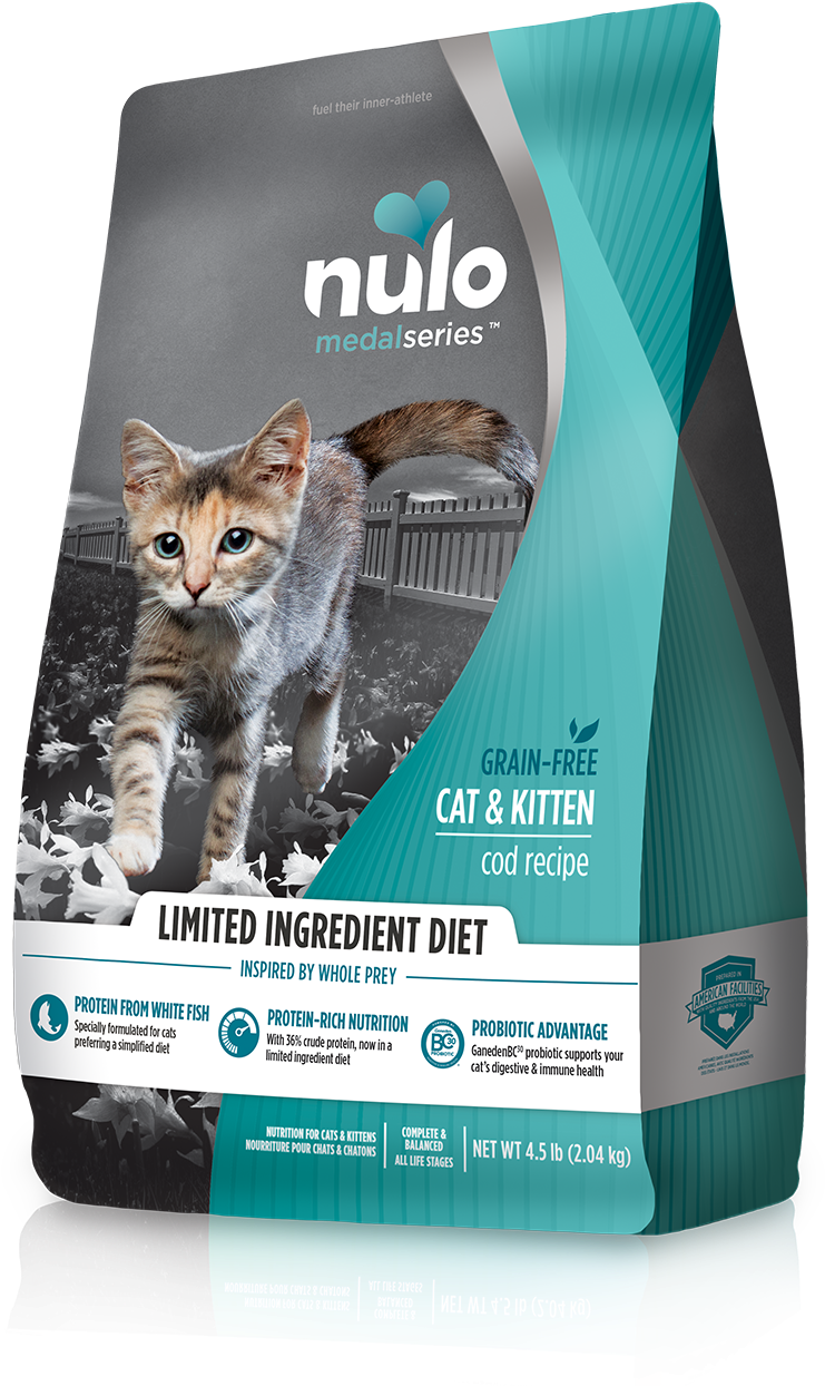 Kitten Clipart Kiten - Kitten - Png Download (1000x1278), Png Download