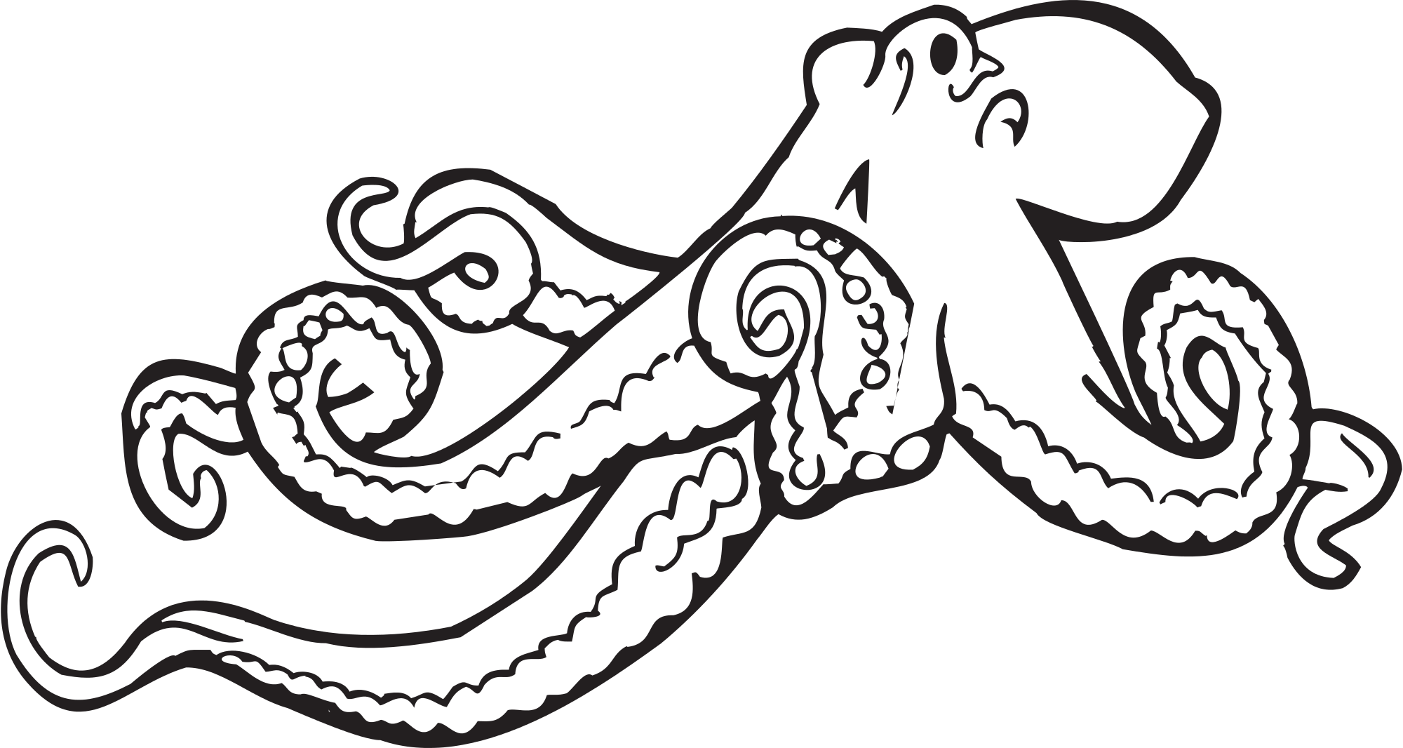 Clipart Octopus Transparent Background - Octopus Clipart Black And White - Png Download (1100x586), Png Download