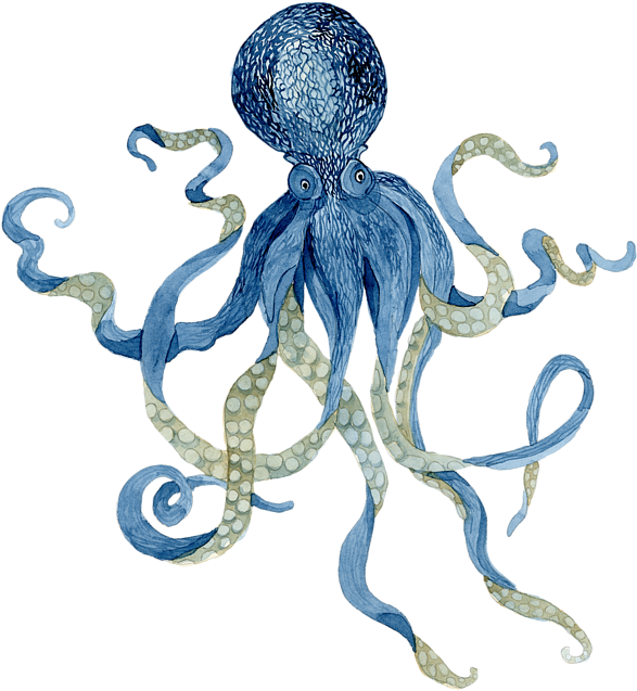 Bleed Area May Not Be Visible - Indigo Ocean Blue Octopus Clipart (600x658), Png Download