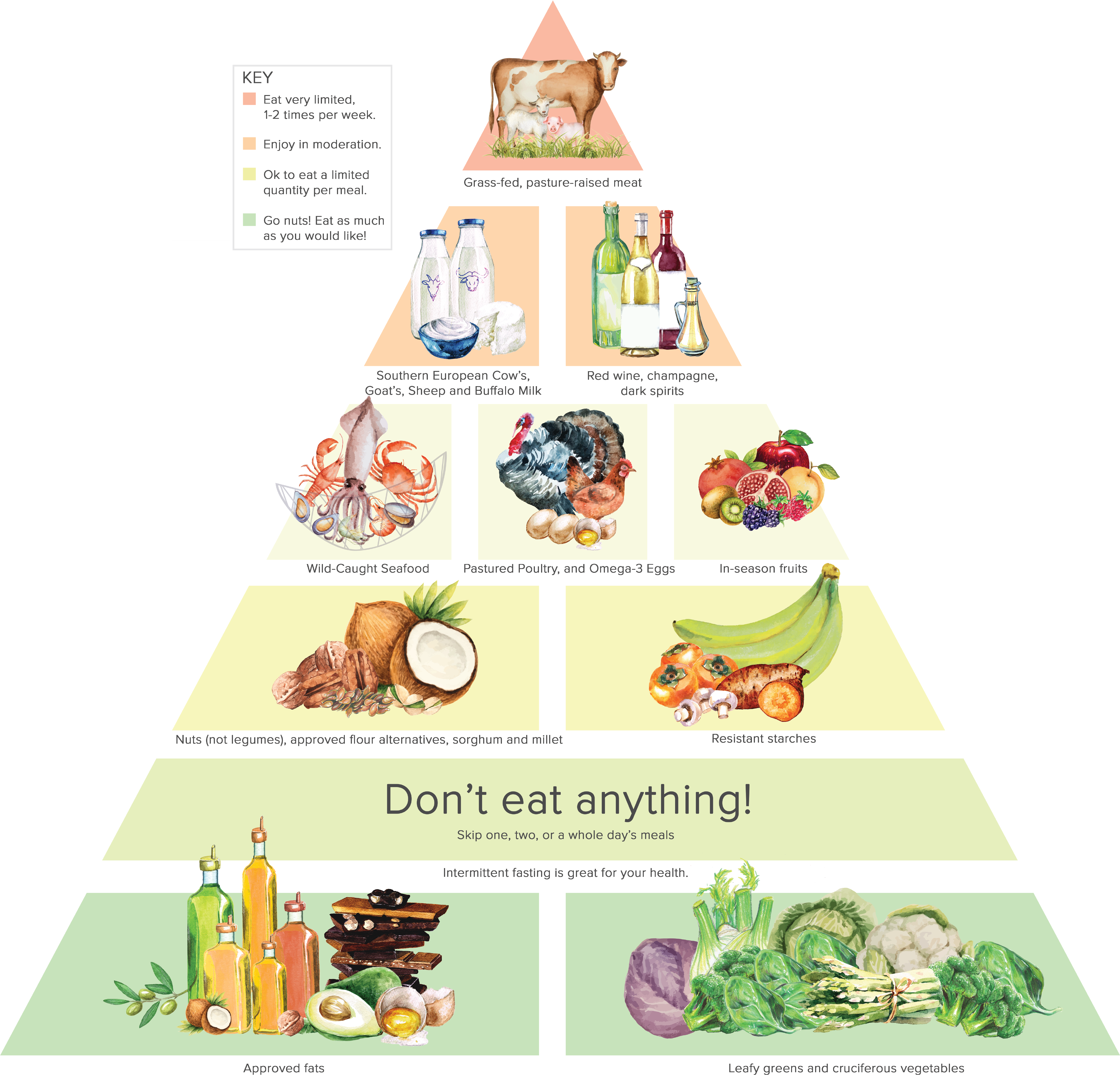 Питание по гандри. Пищевая пирамида Гандри. Пищевая пирамида парадокса растений. Диета Гандри. Диета Стивена Гандри список.