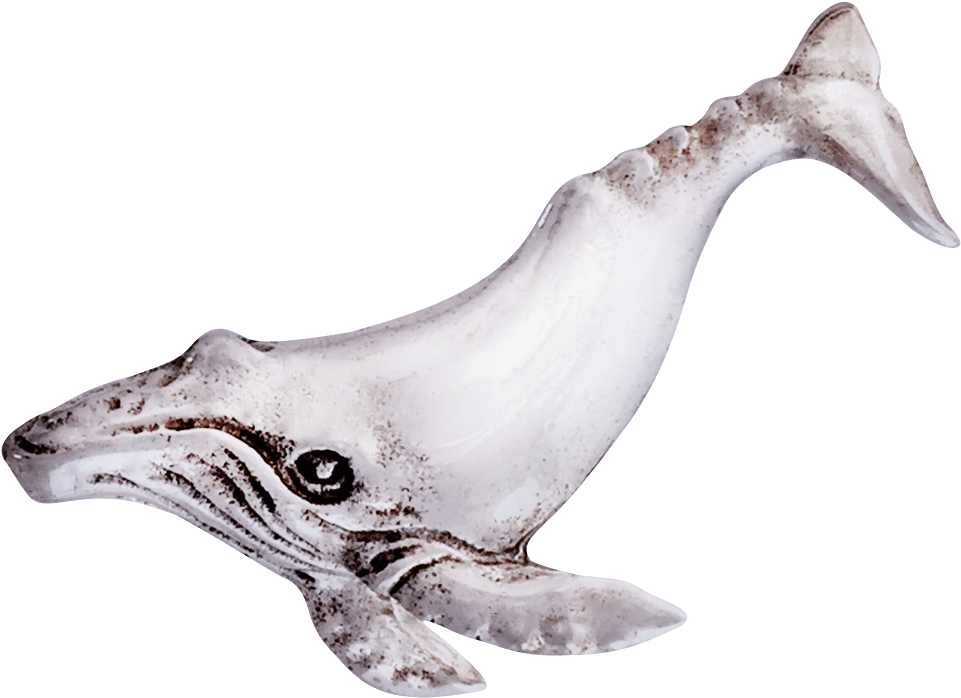 Humpback Whale Pin Creations, For Beauty, And Fun - Humpback Whale Clipart (1000x1000), Png Download