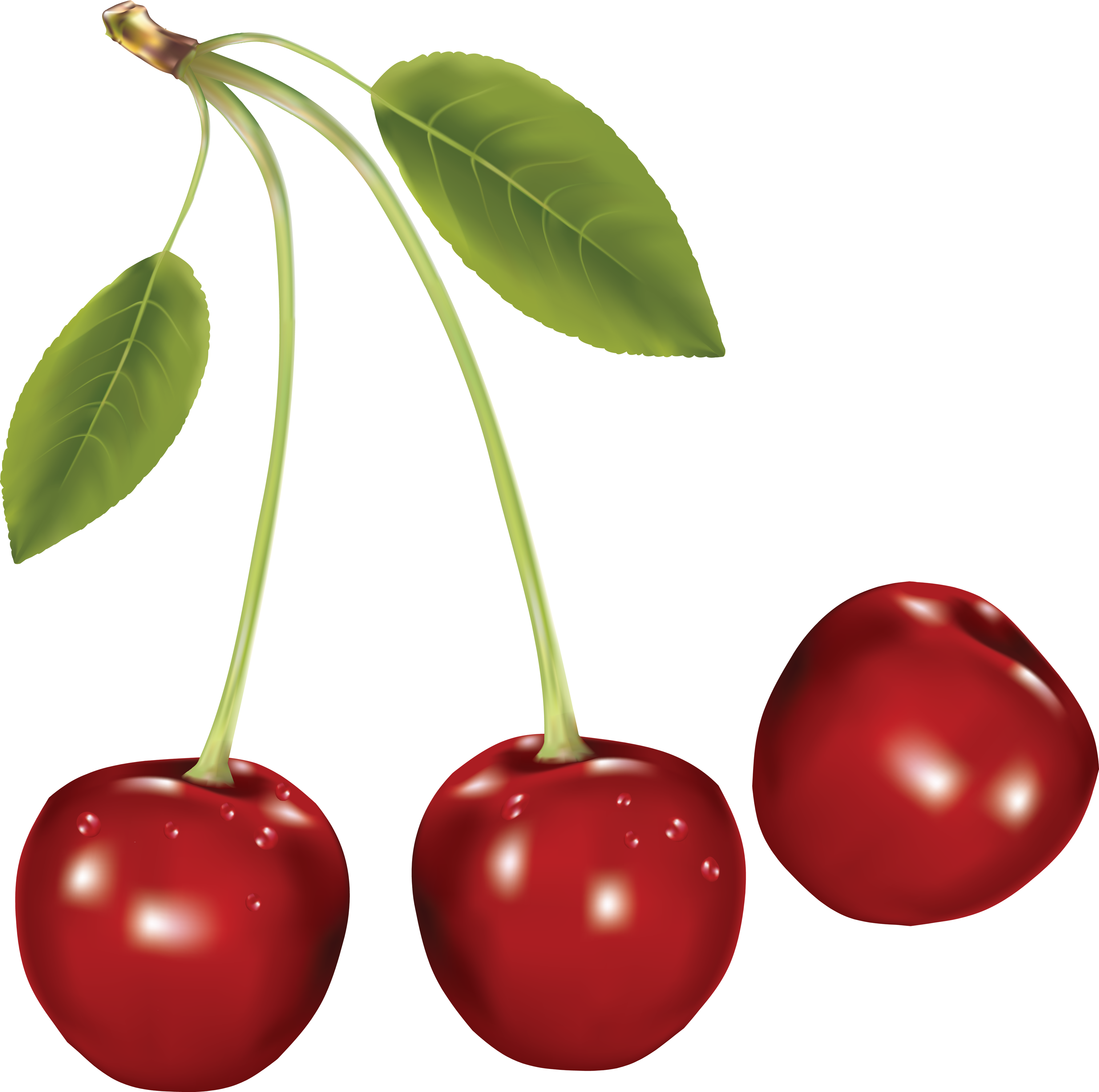Cherries Png Clipart (3569x3546), Png Download