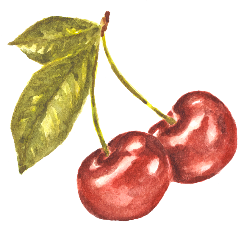 Pair Of Cherries Watercolor Study Clipart (820x782), Png Download