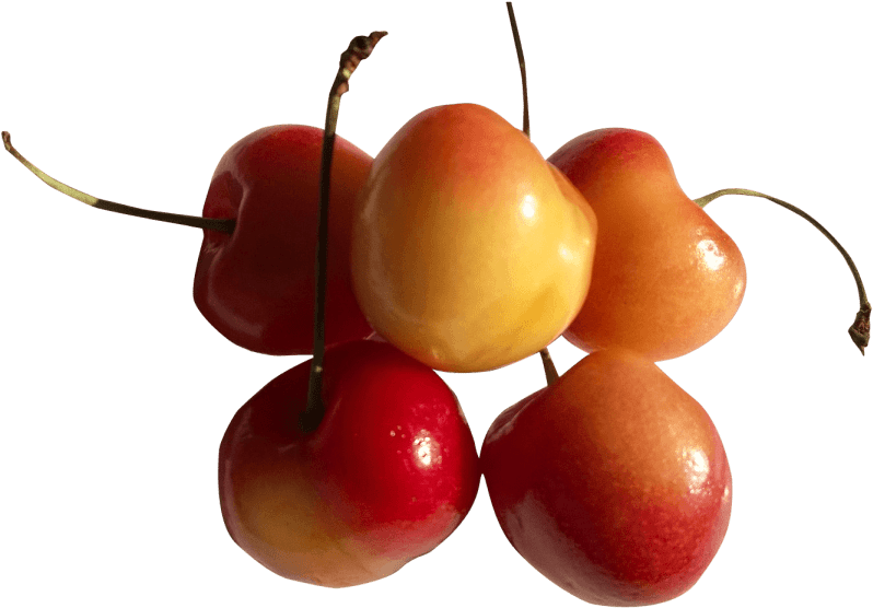 Free Png Rainier Cherry Png - Cherry Clipart (850x596), Png Download