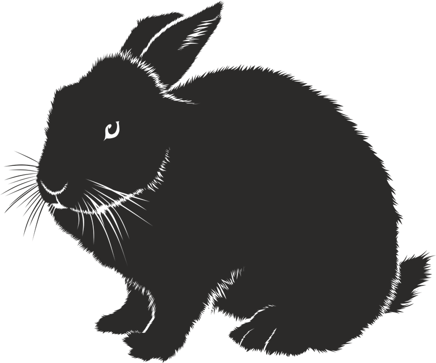Silhouette Rabbit Icon Png Clipart (865x720), Png Download