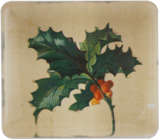 American Holly Clipart (600x600), Png Download