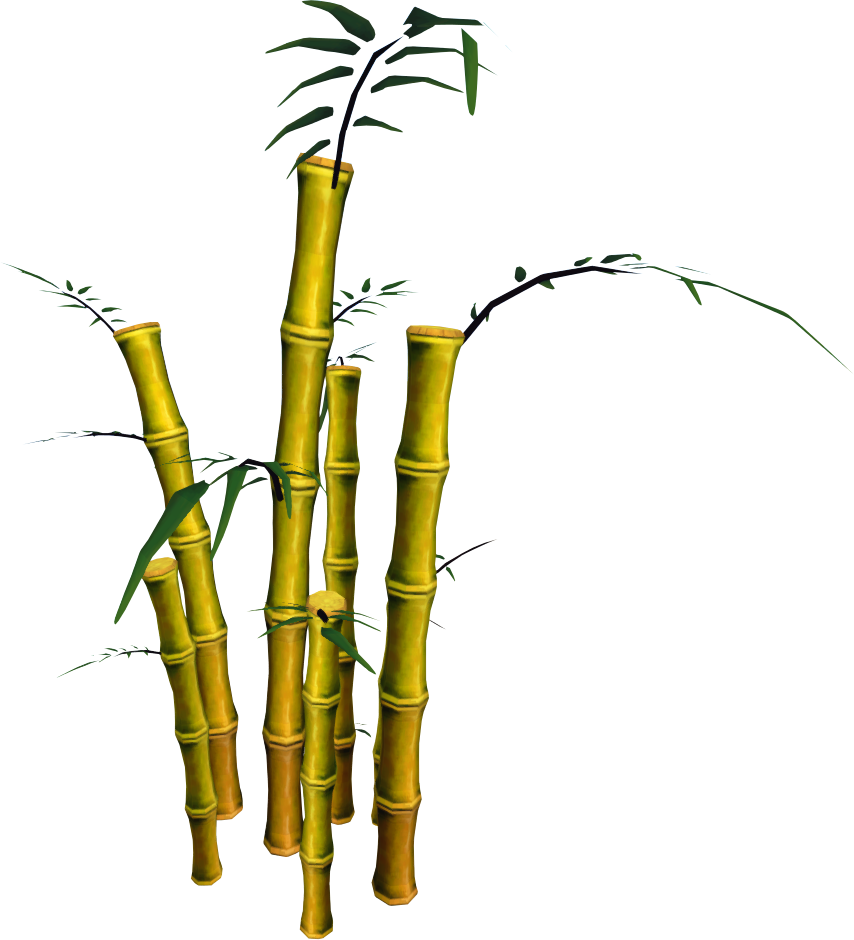 Bamboo Clipart (854x940), Png Download