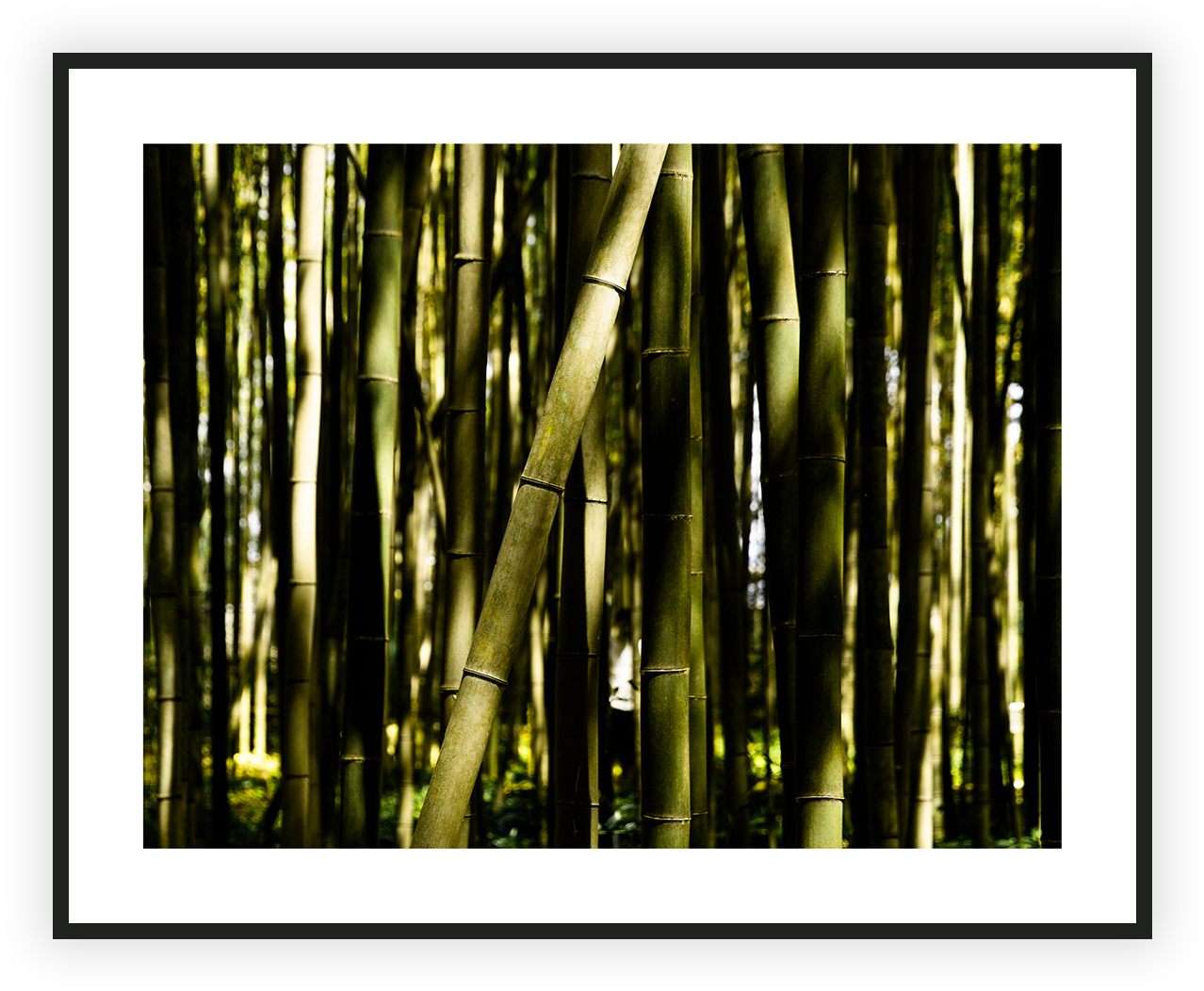 Bamboo , Png Download Clipart (1278x1052), Png Download