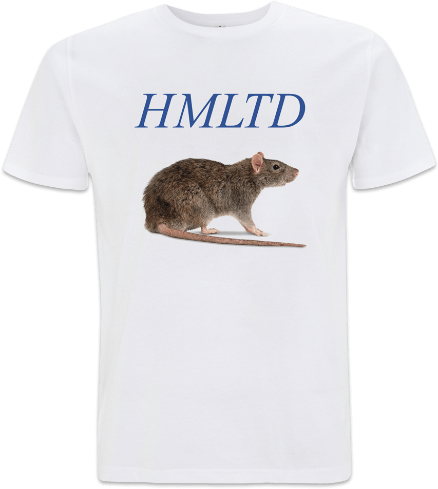 Rat - Funny Civil Engineer Quotes Clipart (1100x1100), Png Download