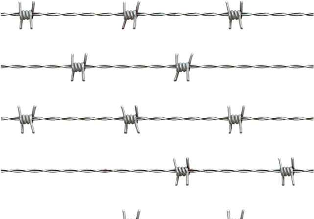 Barbwire Png - Barbed Wire Transparent Clipart (640x480), Png Download