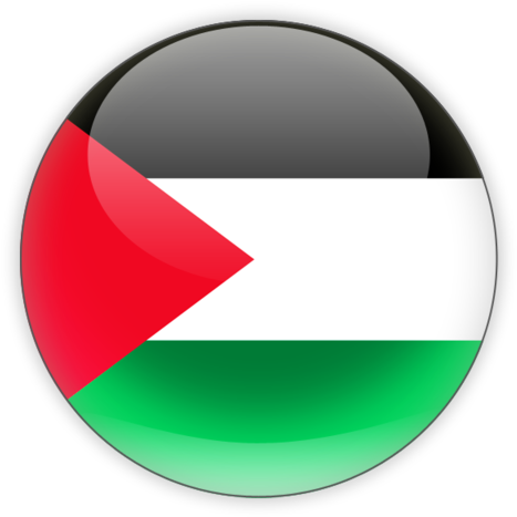 Palestine Flag Transparent Background - Palestine Flag Icon Png Clipart (640x480), Png Download