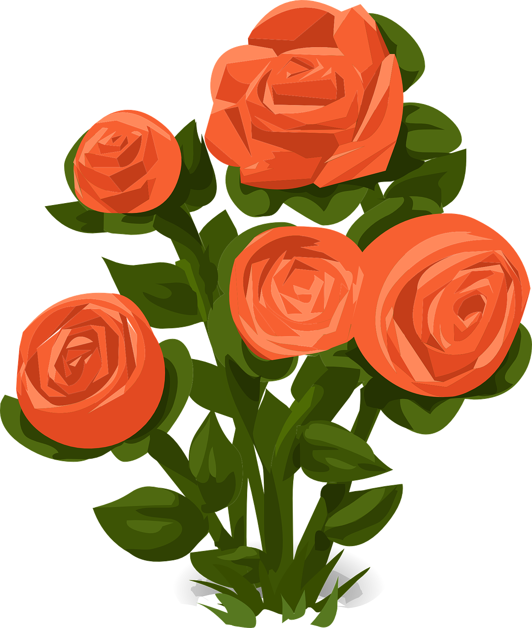 Rose Bush Roses Orange - Rose Bush Vector Png Clipart (610x720), Png Download