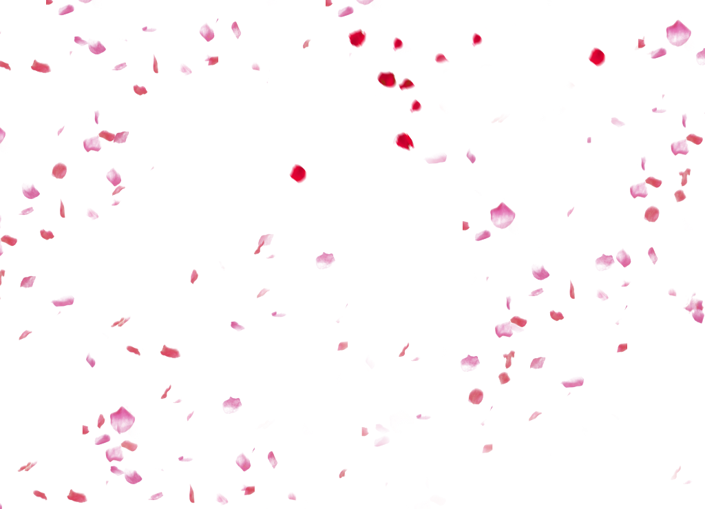 Report Abuse - Peach Petals Png Clipart (1024x739), Png Download