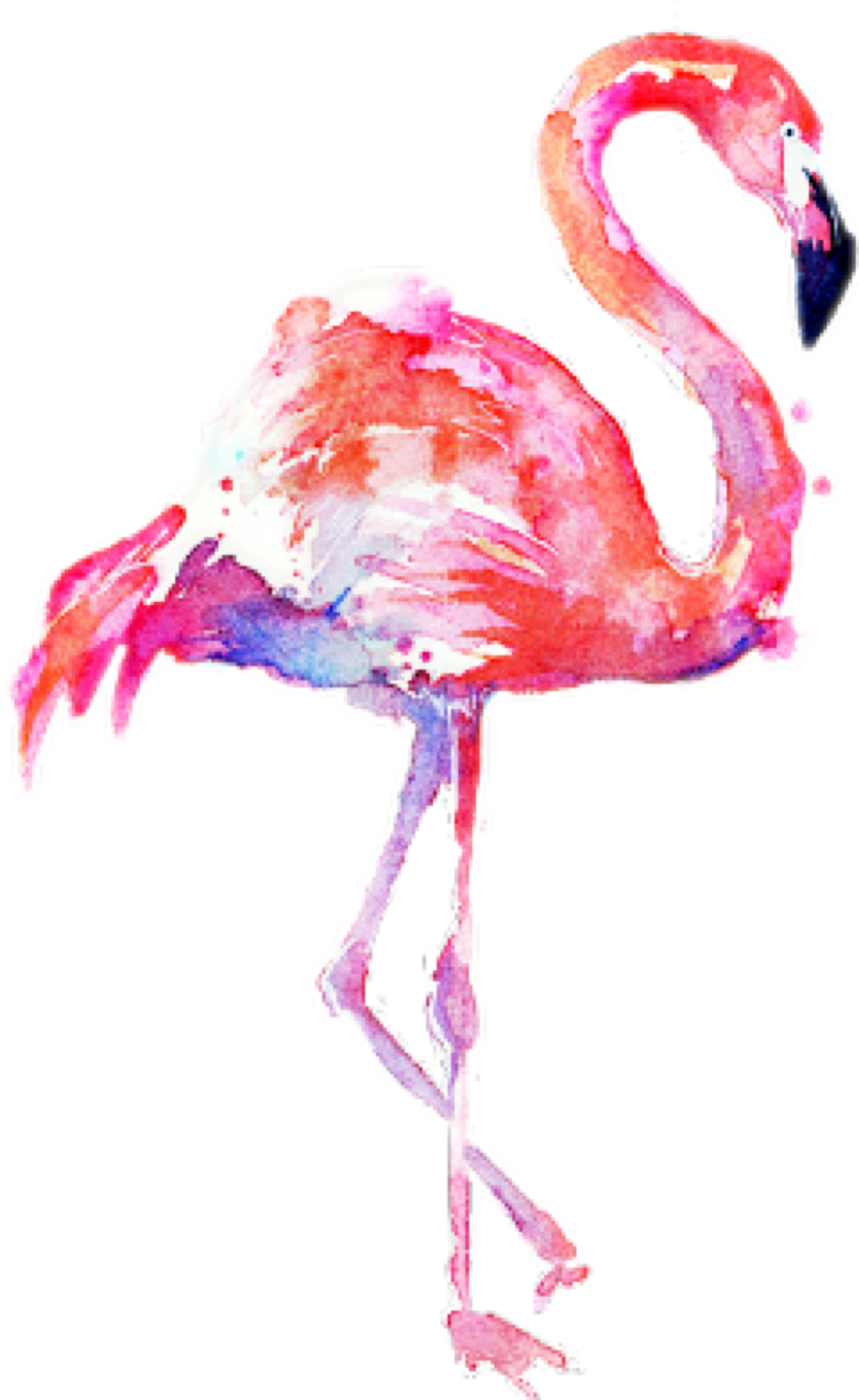 Flamingo Transparent Water Color Clipart (1024x1668), Png Download