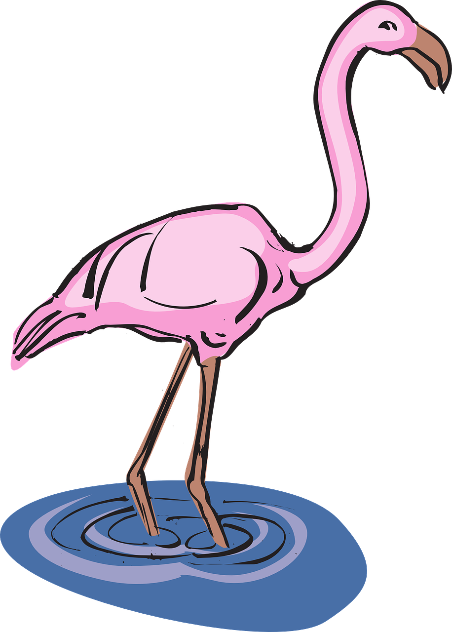 Flamingo Clipart Wings - Flamingo In Water Clipart - Png Download (515x720), Png Download