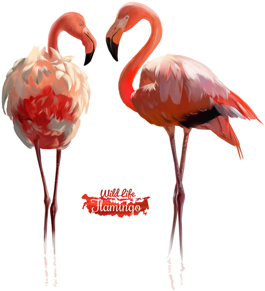 600 X 626 7 - Psp Tube Flamingo Clipart (600x626), Png Download