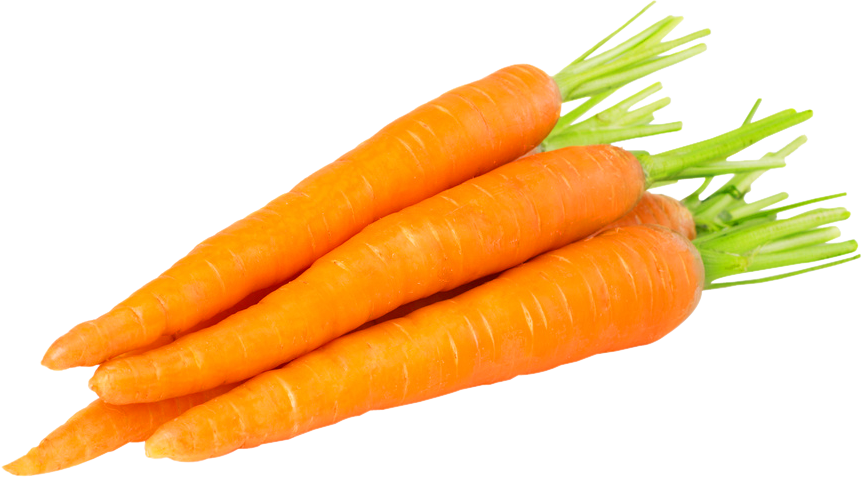 Carrot Png Image - 1 Carrot Clipart (862x477), Png Download
