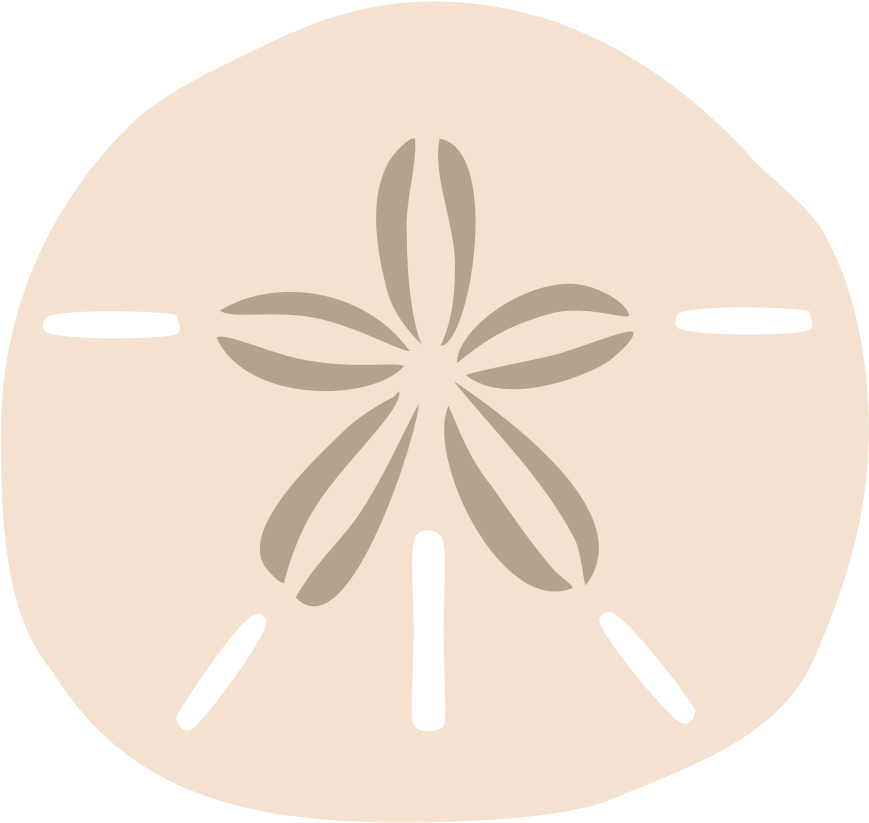 1000 X 946 5 - Sand Dollar Png Clipart (1000x946), Png Download