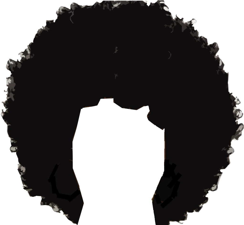 Afro Hair High Quality Png - Like My Women Like I Like My Meme Clipart (1023x941), Png Download