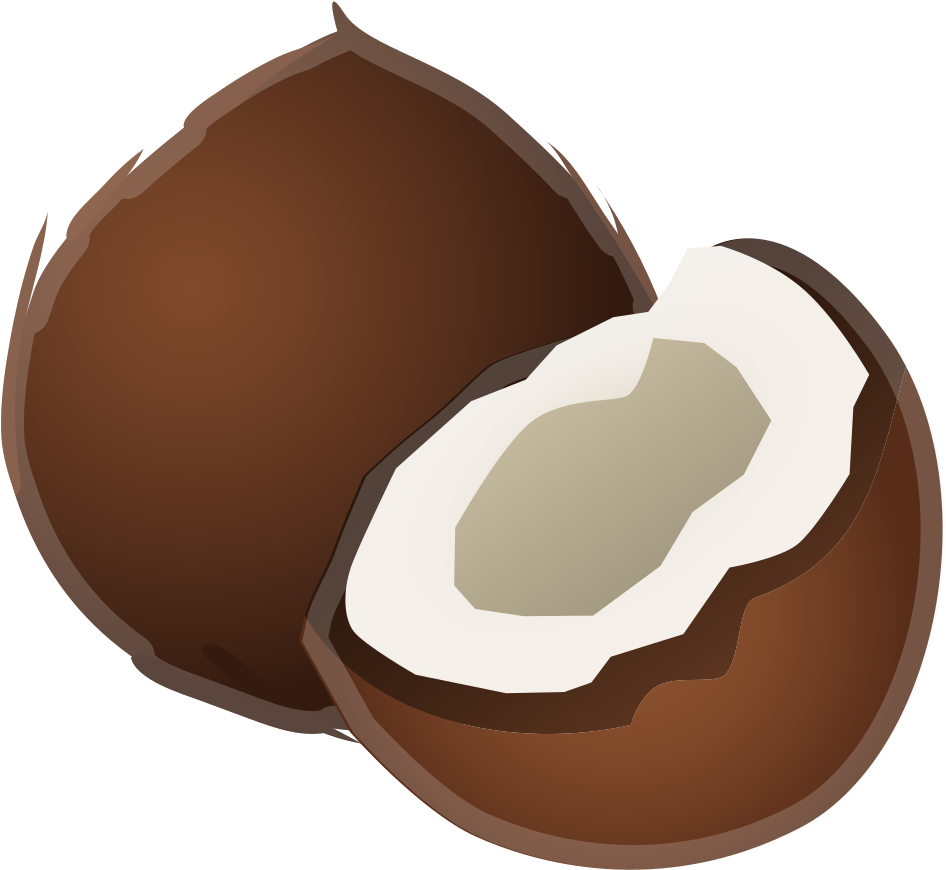 Coconut Icon Clipart (1024x1024), Png Download