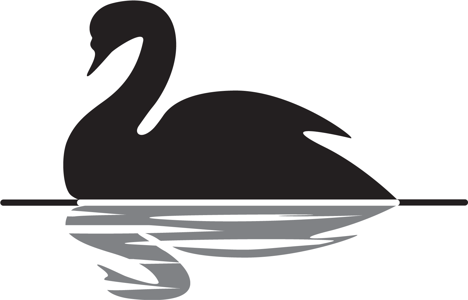 Black Swan Event Picture - Advaita Vedanta Clipart (1592x1028), Png Download