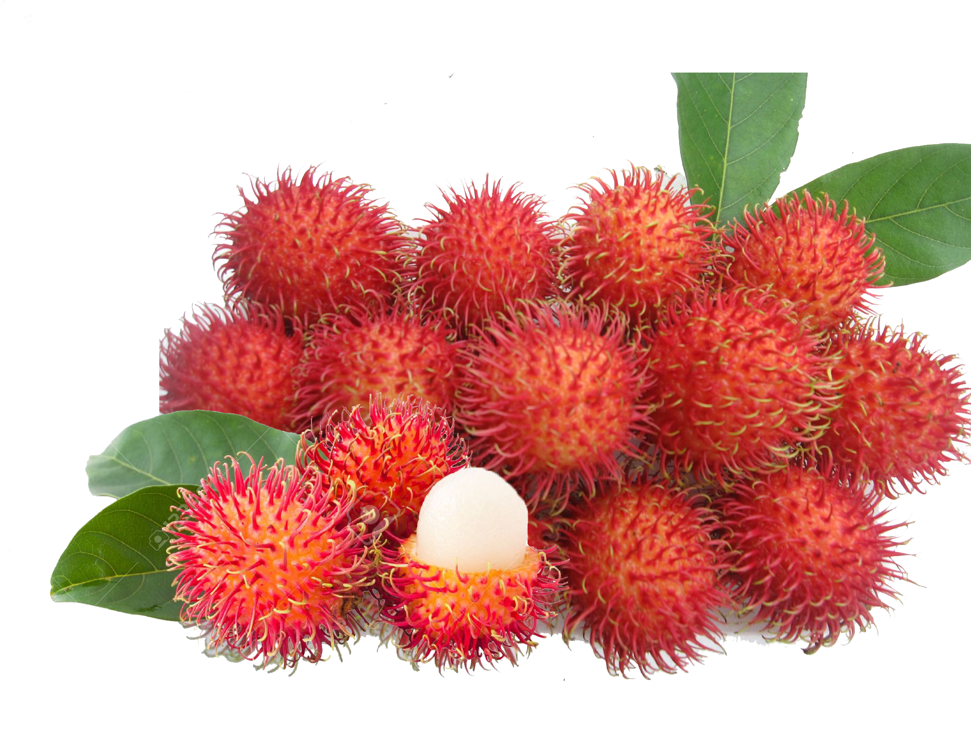 Rambutan Fruit - Png Rambutan - Rambutan Fruit Price In India Clipart (2048x2048), Png Download