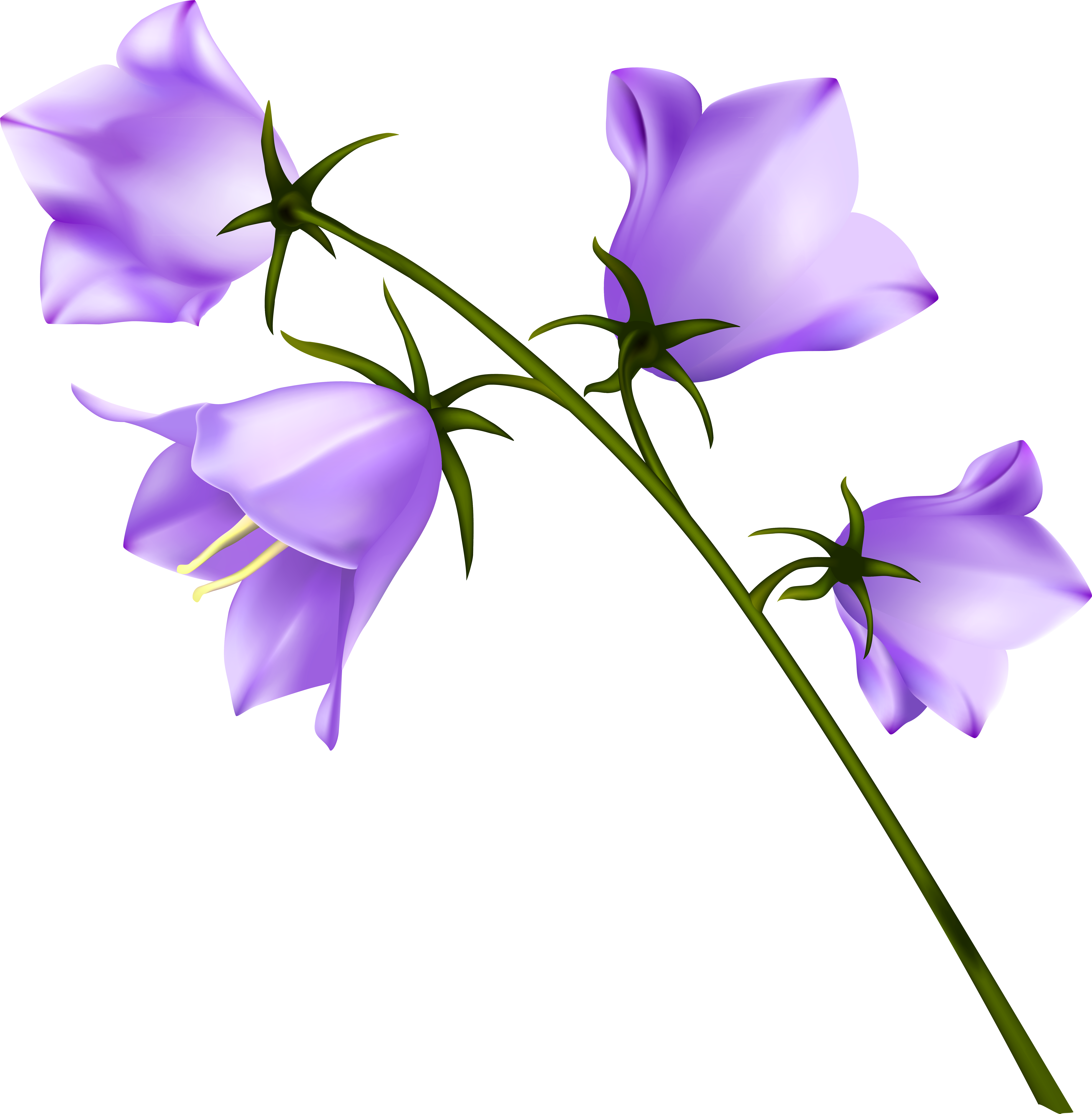 Spring Flower Png Clipart (7603x7335), Png Download