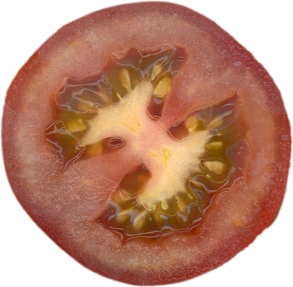 Qubodup Tomato Tomate - Jitomate Cortado A La Mitad Clipart (1024x1024), Png Download