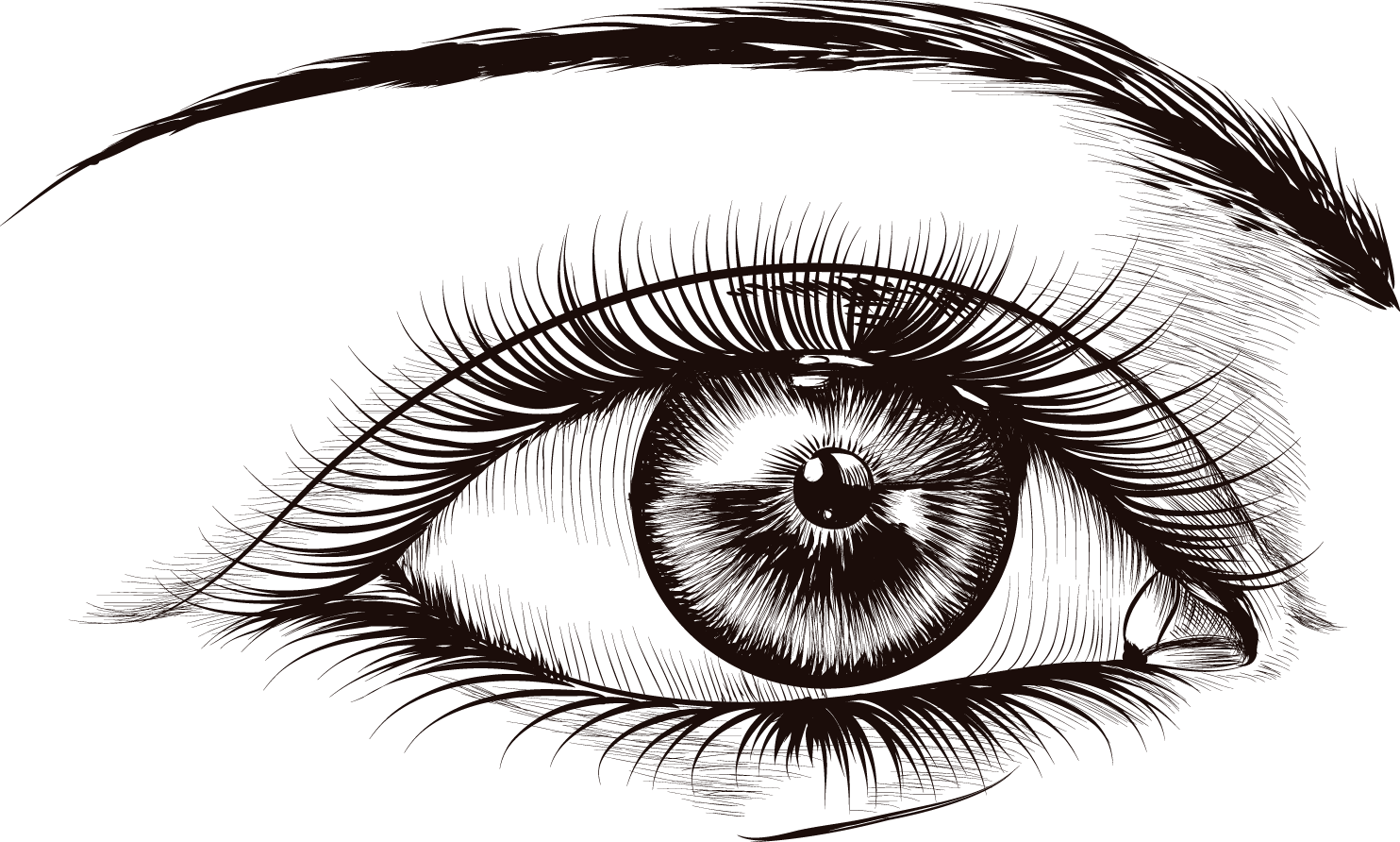 Lash Extension Products Semi Lashes Real Lash Extensions - 睫毛 卡通 Clipart (1484x892), Png Download