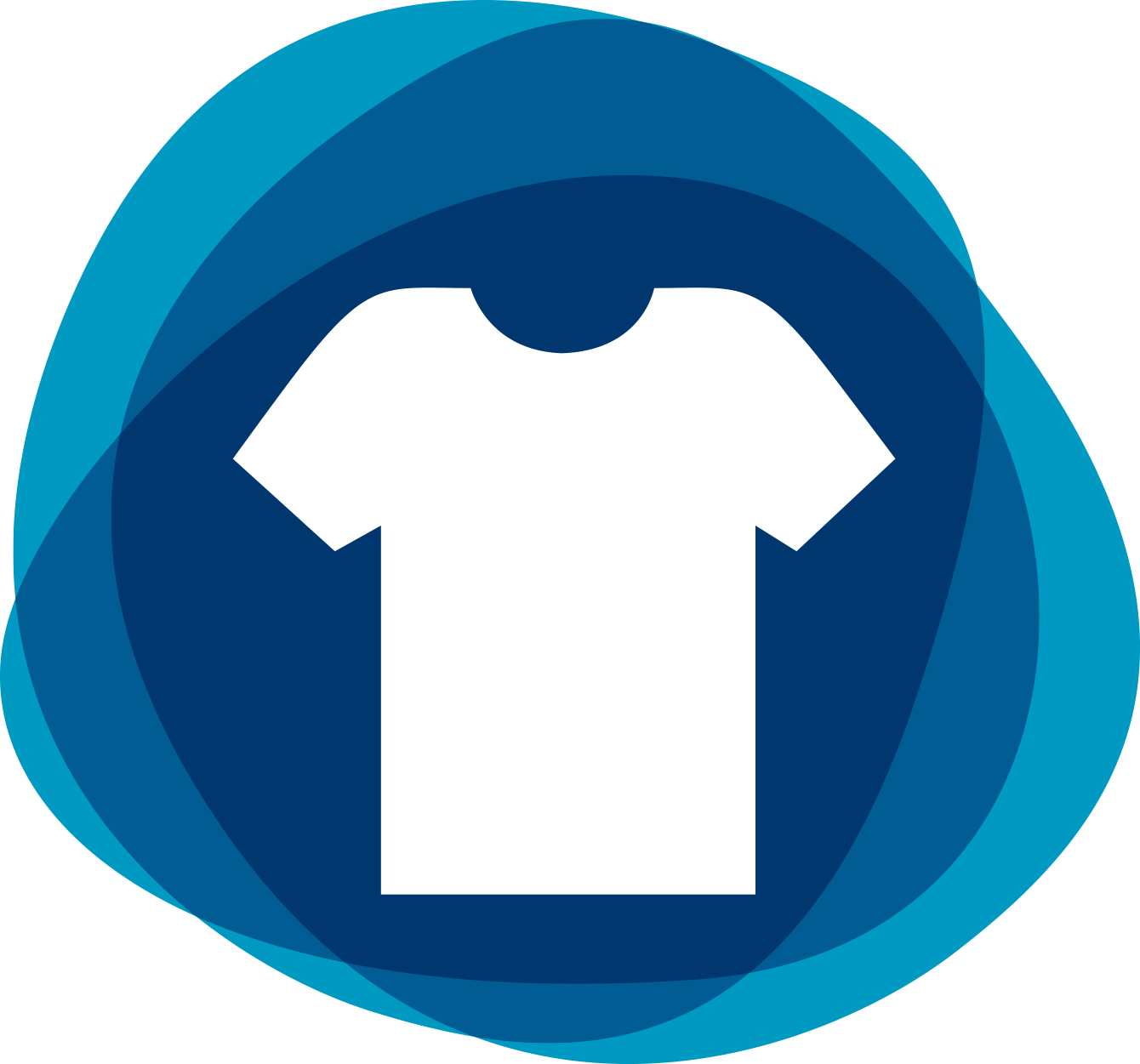 Blank Bulk T Shirts And Screen Printing West Auckland - Personal Capital Logo Clipart (1340x1251), Png Download