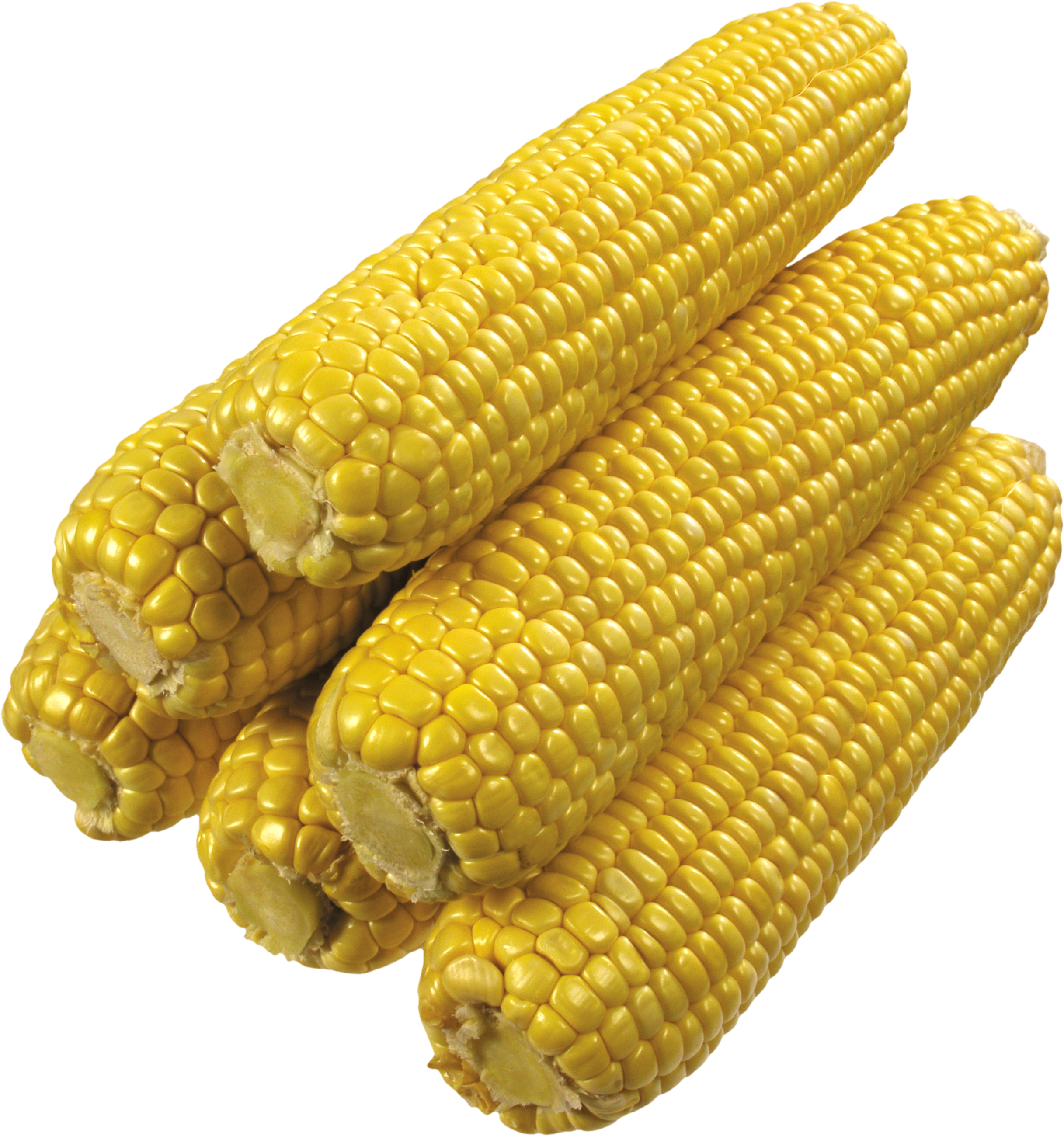 Corn Png Free Download - Transparent Image Of Corn Clipart (600x640), Png Download