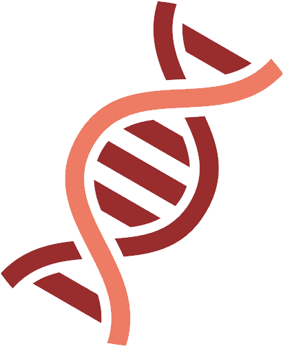 Dna Png - Dna Clipart (650x863), Png Download