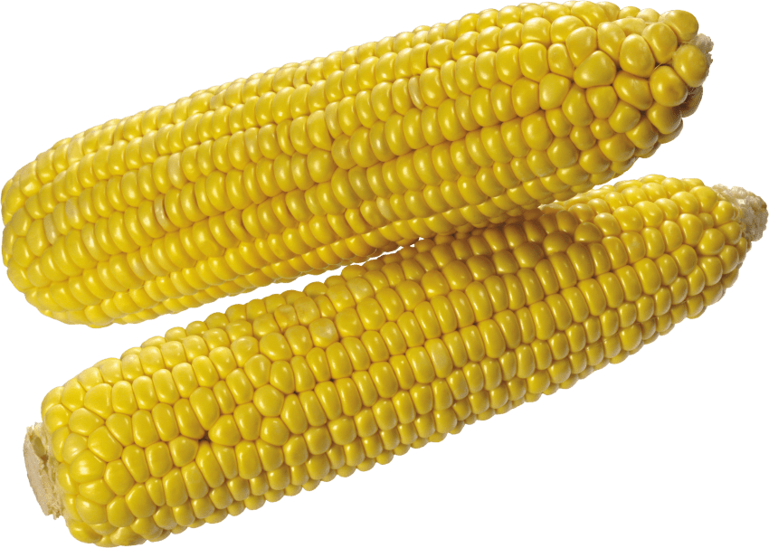 Free Png Download Corn Png Images Background Png Images - Corn Transparent Background Clipart (850x606), Png Download