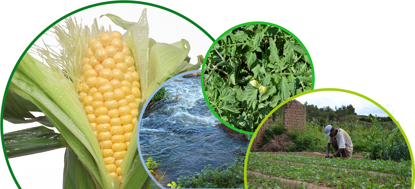 Climate Smart Agriculture For Family And Smallholder Clipart (1395x636), Png Download