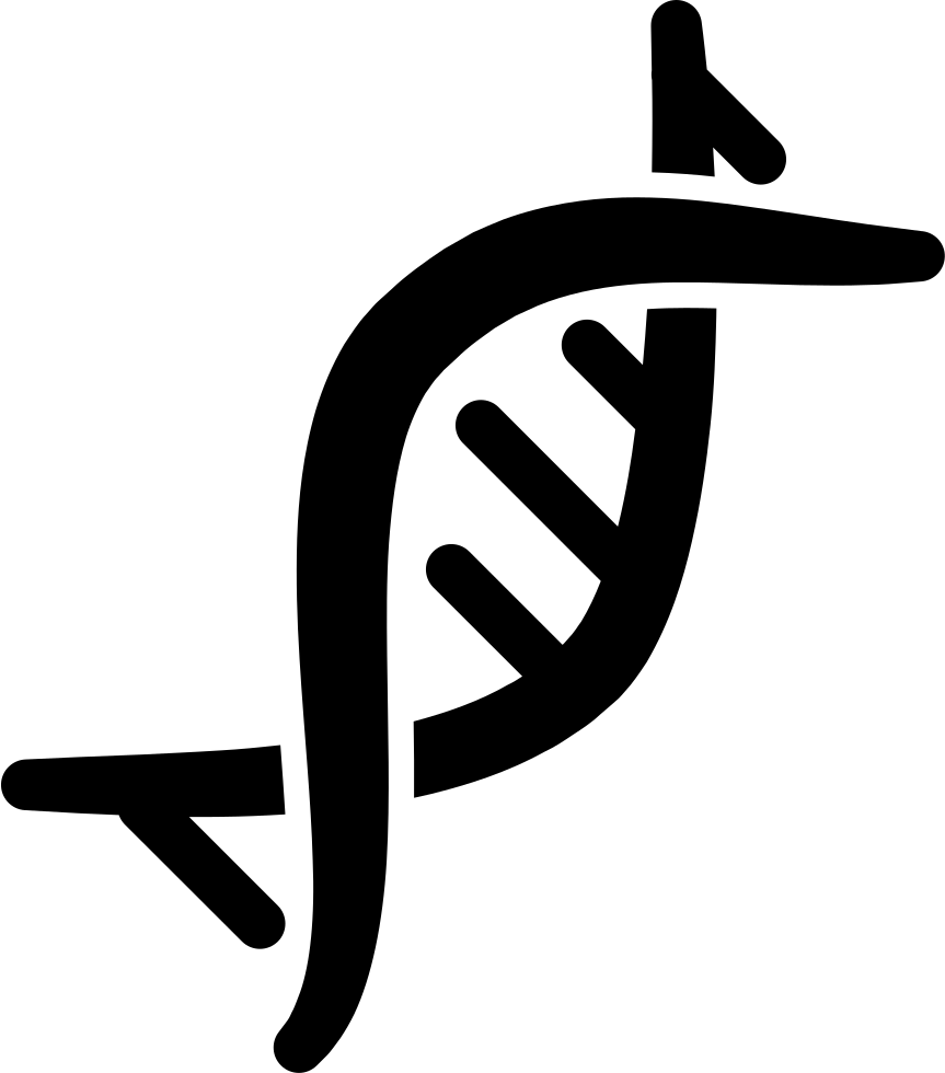 Dna Png - Chromosome Icon Clipart (863x980), Png Download