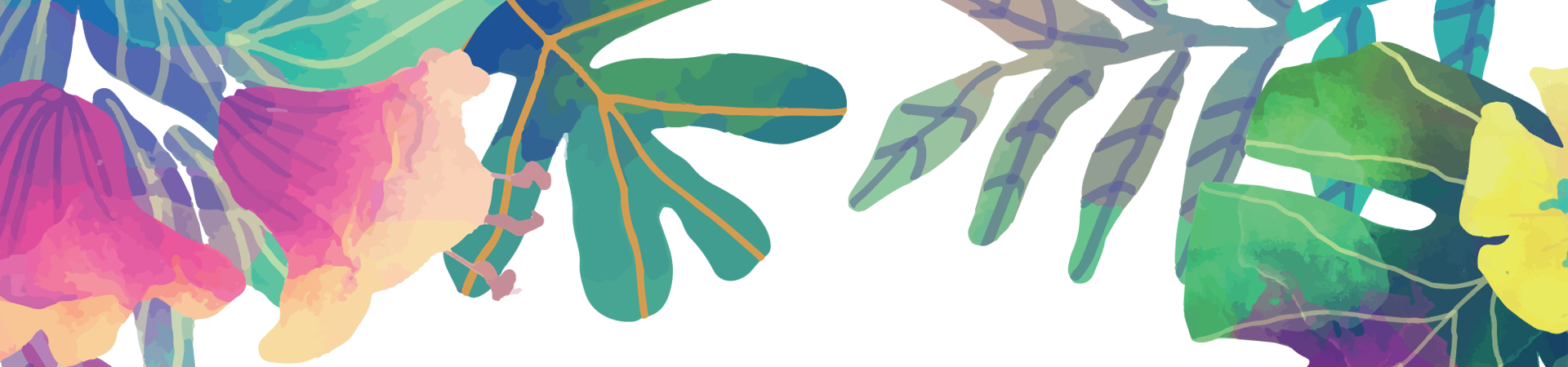 Summer Png - Summer Plant Png Clipart (1920x450), Png Download