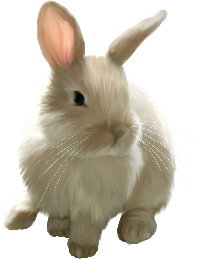 Cute Painted Bunny Png Picture Clipart - Real Easter Bunny Png Transparent Png (708x934), Png Download