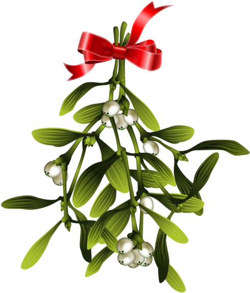 Christmas Wish Mistletoe Clipart (700x700), Png Download