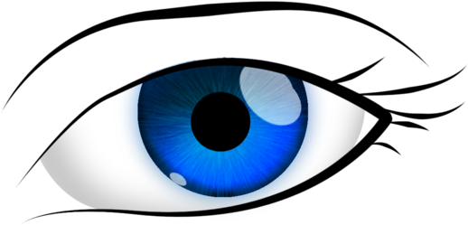 Blinds Clipart Free Eye Source - Png Download (900x506), Png Download