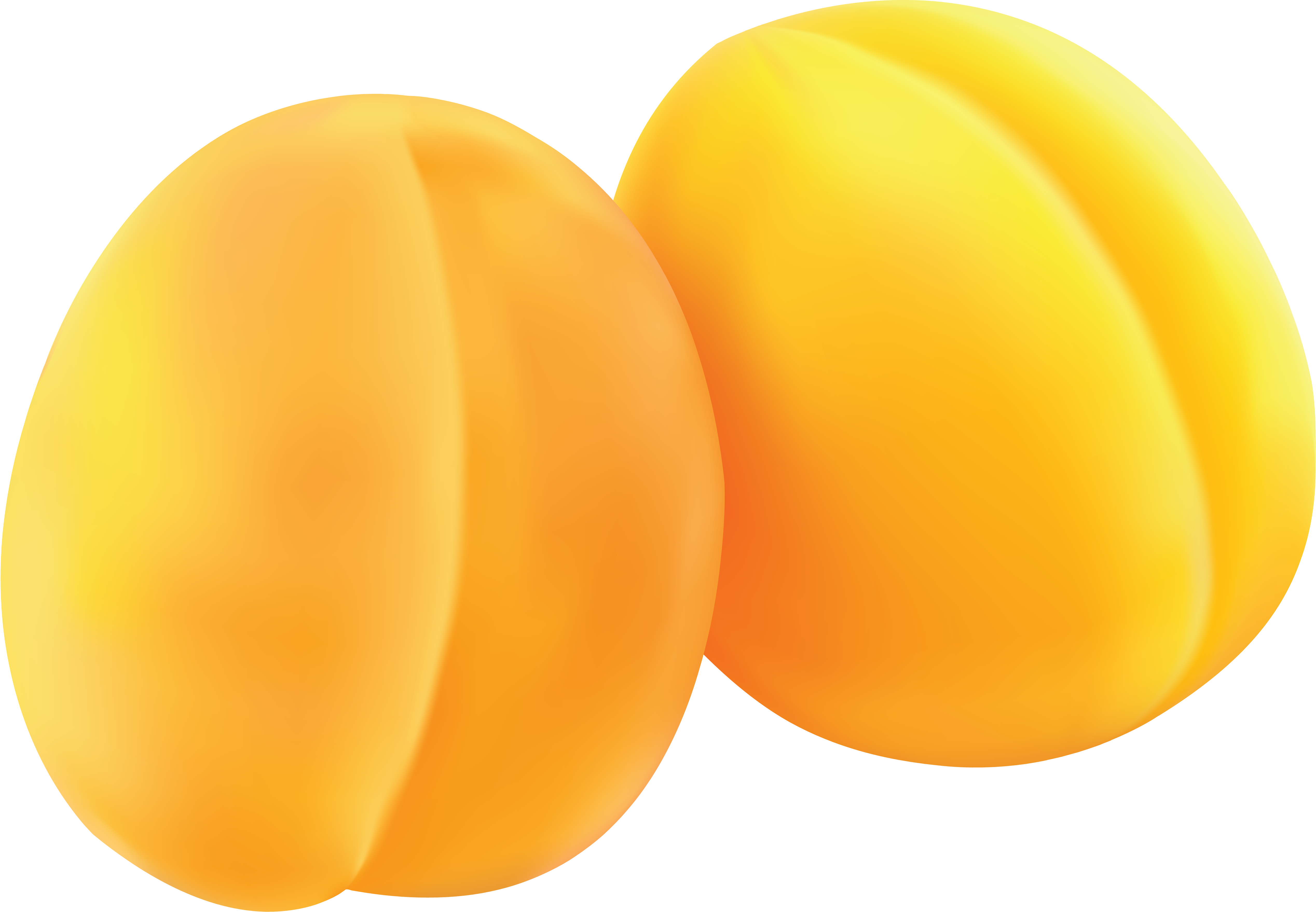 Apricots Png - Yellow Peach Png Clipart (5072x3516), Png Download