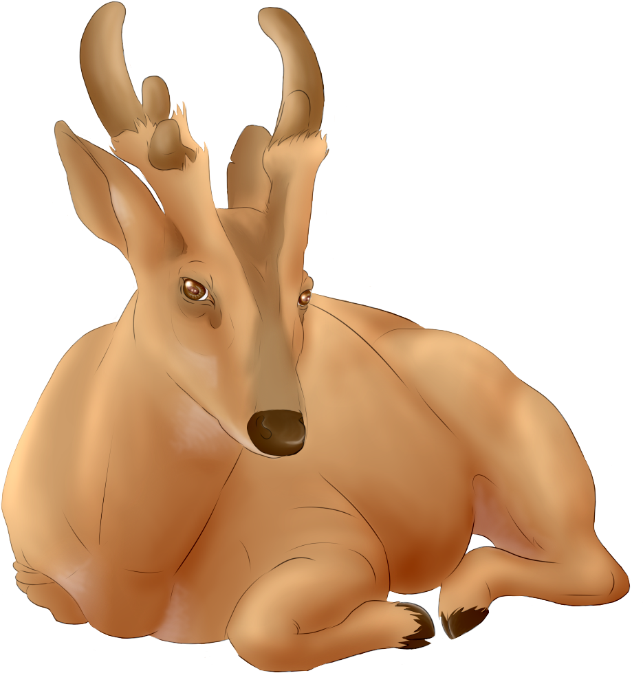 Giant Muntjac Deer - Reindeer Clipart (1300x1064), Png Download