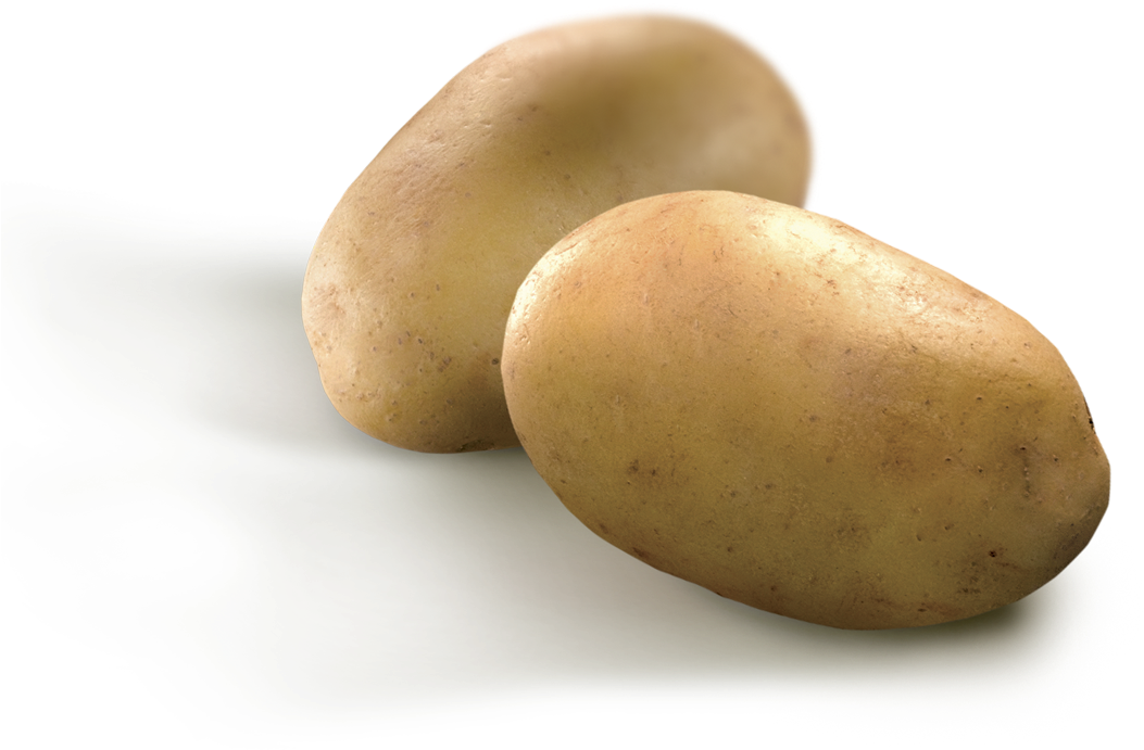 Steak House Potatoes - Yukon Gold Potato Clipart (1170x978), Png Download