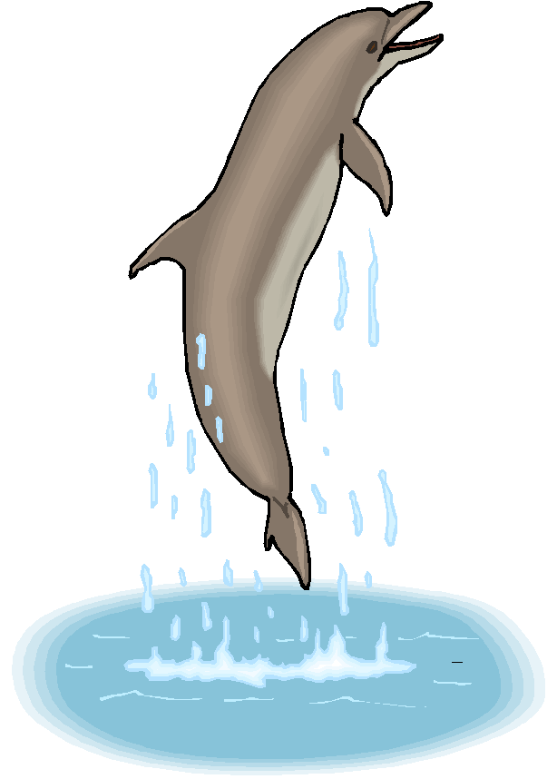 Dolphin Dolphin Dolphin - Gif Dolphin Png Clipart (622x862), Png Download