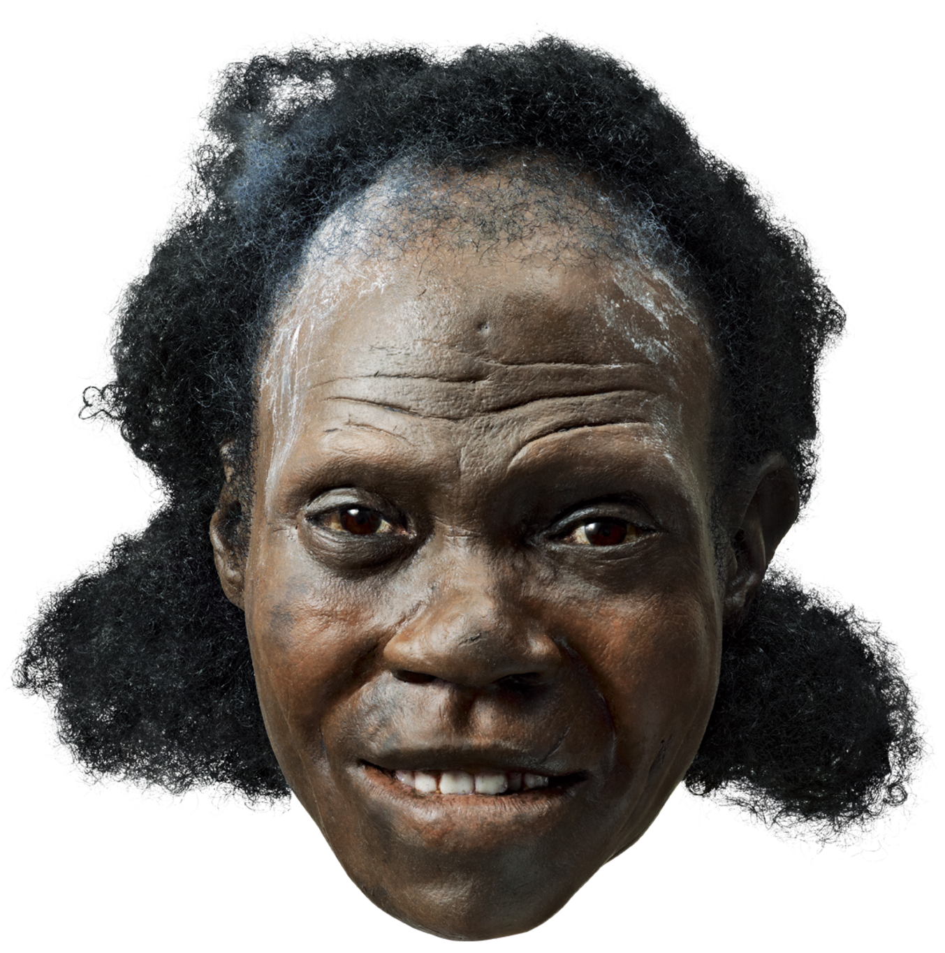 1440 X 1440 3 - Modern Humans Face Clipart (1440x1440), Png Download