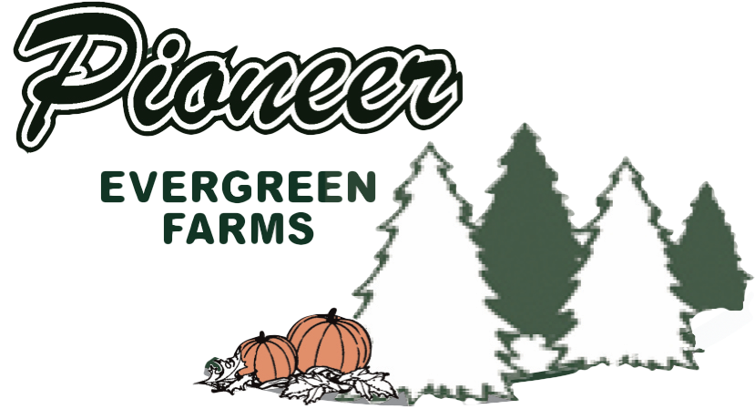 Illustration Clipart (1000x463), Png Download