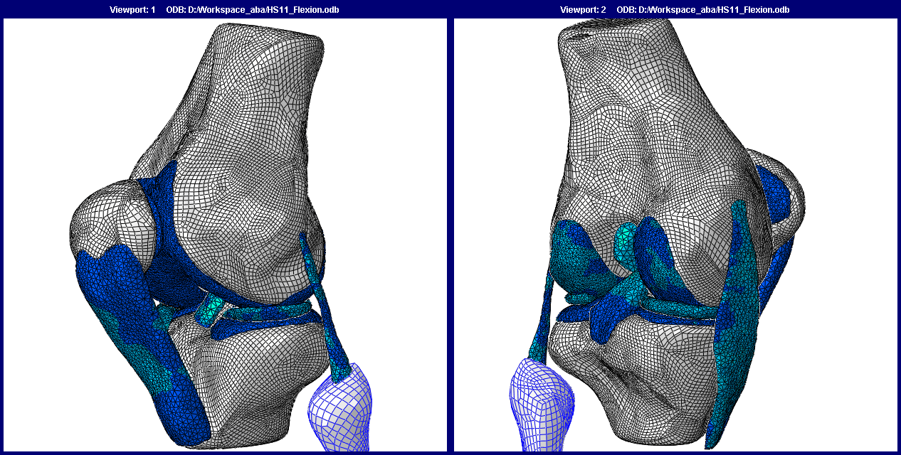 Human Knee Joint Fe Model - Finite Element Model Of The Knee Clipart (1266x640), Png Download