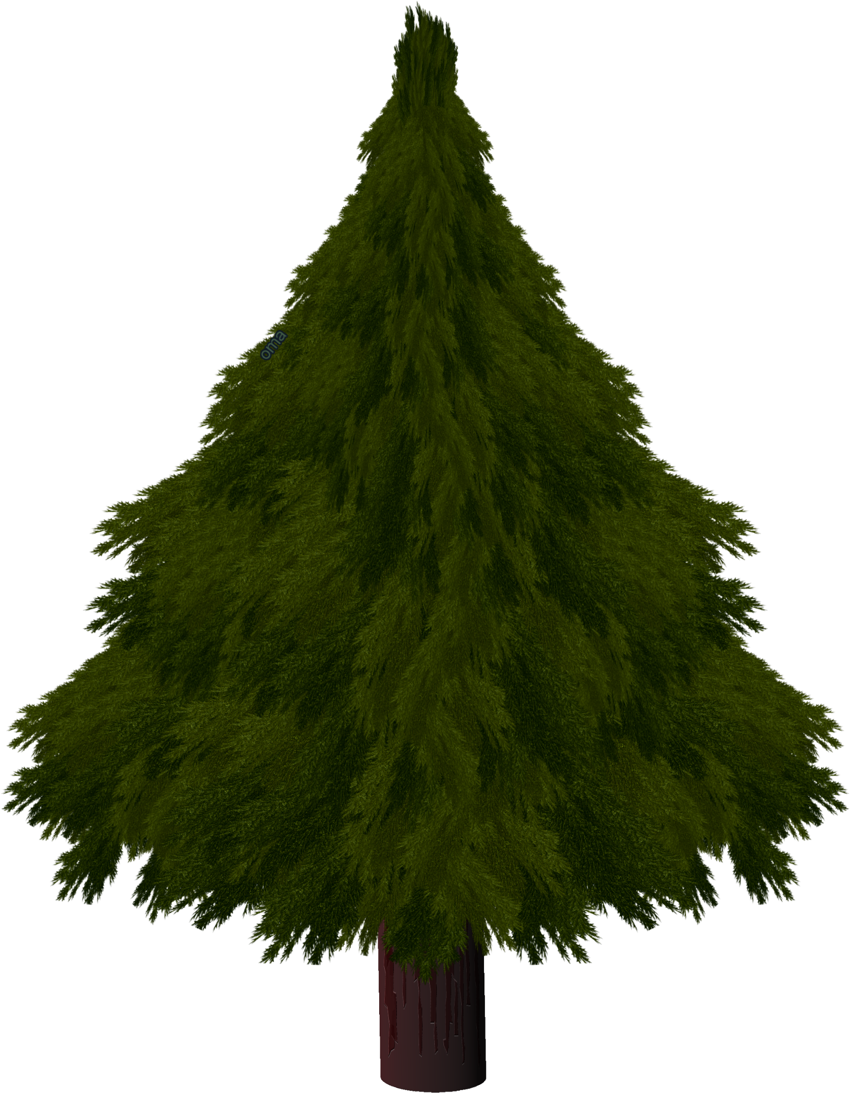 Drawn Pine Tree Texture - Drawing A Realistic Christmas Tree Clipart (1800x2400), Png Download