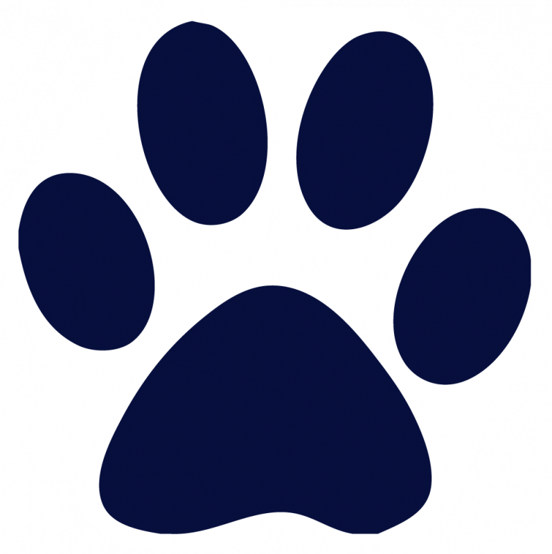 Navy Clipart Paw Print - Navy Blue Dog Paw - Png Download (797x800), Png Download