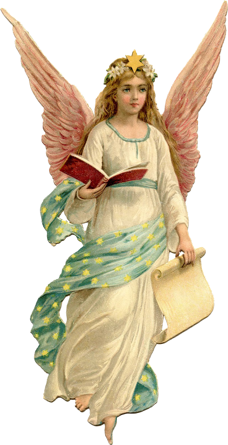 Angel Png Transparent - Christmas Angel Clipart (880x1600), Png Download