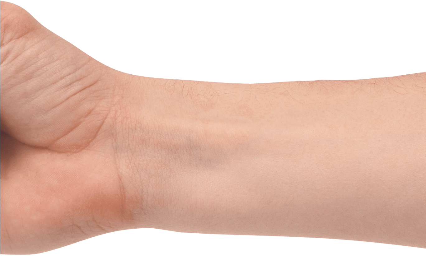 Fist Hand Transparent Png Stickpng - Heel Clipart (1368x855), Png Download